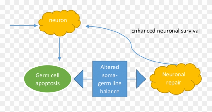 Environmental Factors Such As Sharing Meaningful Information Clipart