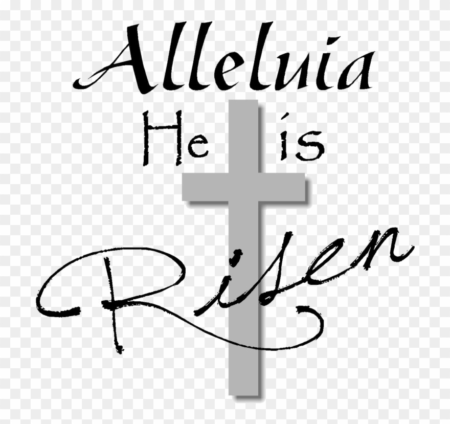 Clip Art Images - Png Download