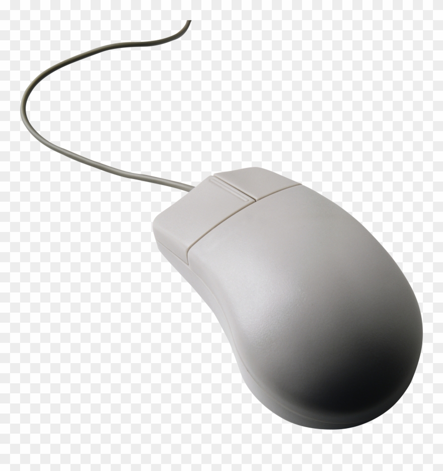 Computer Mouse Clipart Computer Institute - Png Download