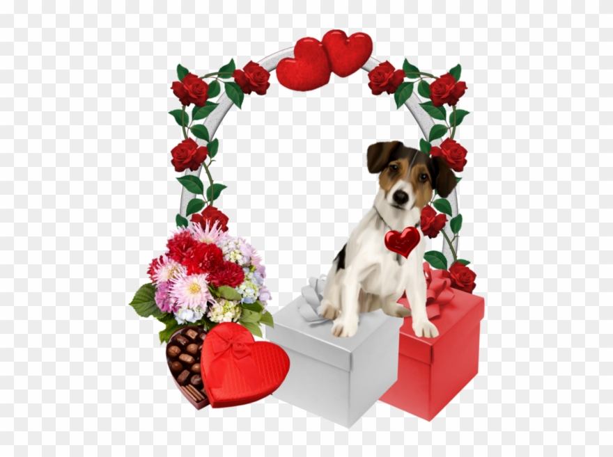 Cute Clipart, Flower Frame, Puppy Images, Heart Images, - Png Download