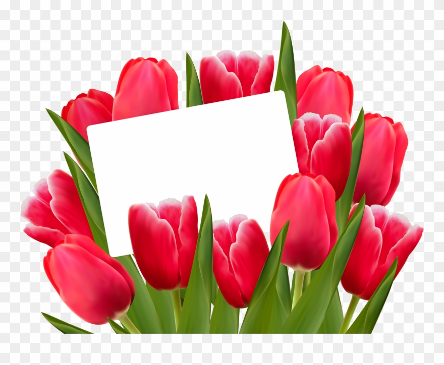 Png Clipart Transparent Png