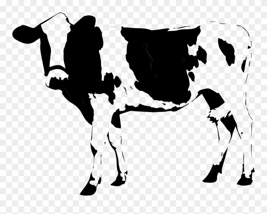 Cow Images Free Download Clipart