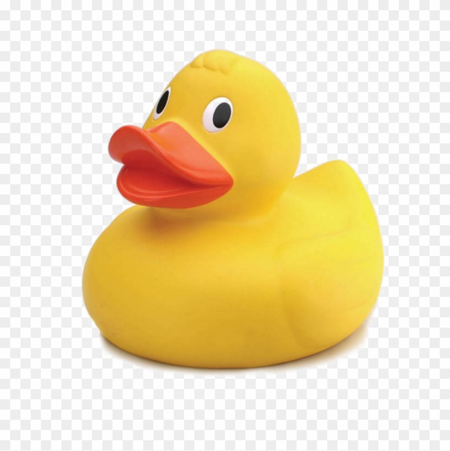Rubber Duck Png Photo Clipart
