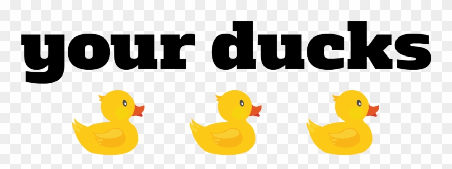 Png Ducks In A Row Pluspng Clipart