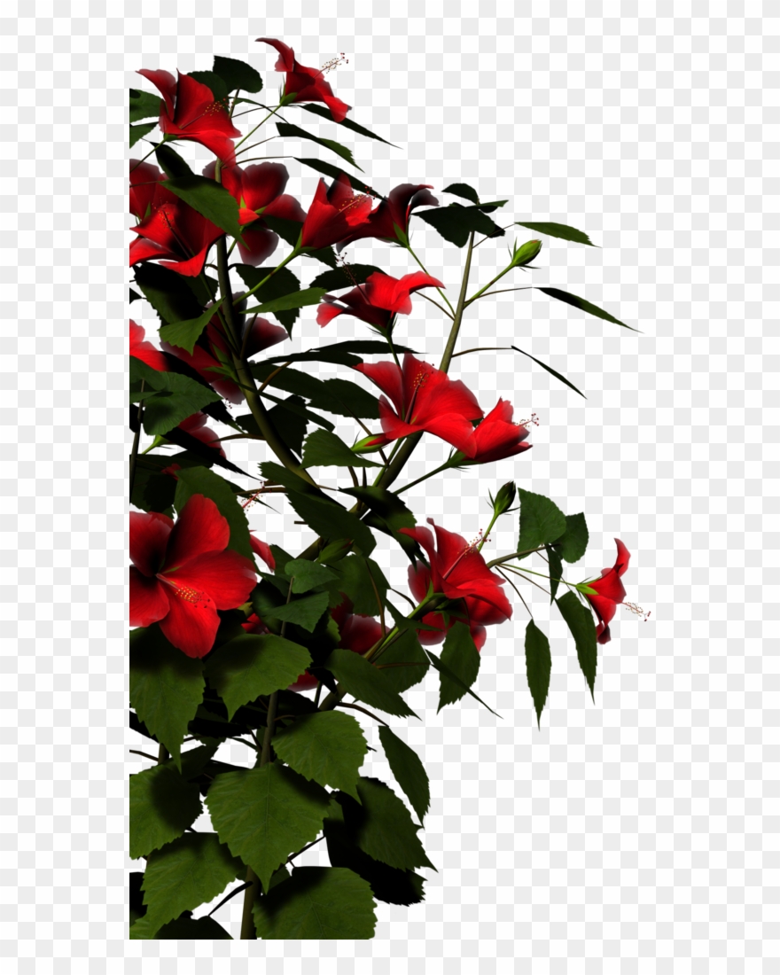 Nature Png Hd Clipart