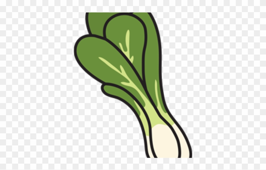 Bok Choy Clipart Transparent - Png Download