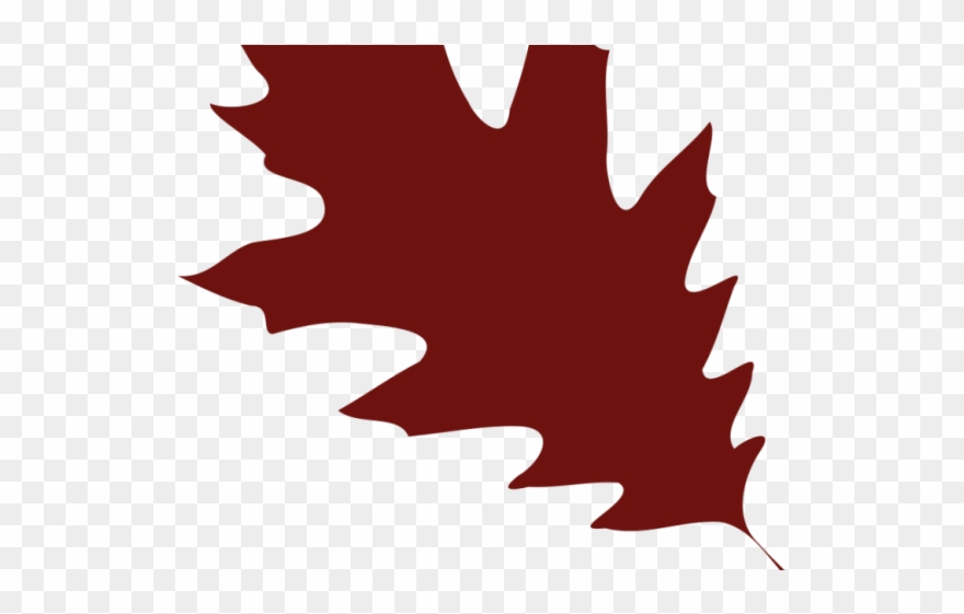 Maple Leaf Clipart - Png Download