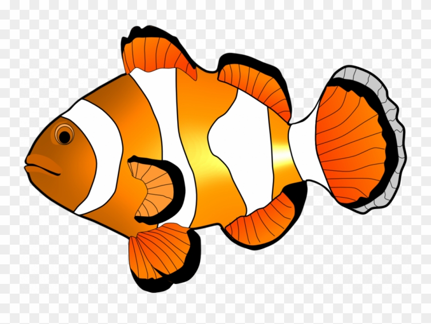 Clown Fish Clipart At Getdrawings - Png Download