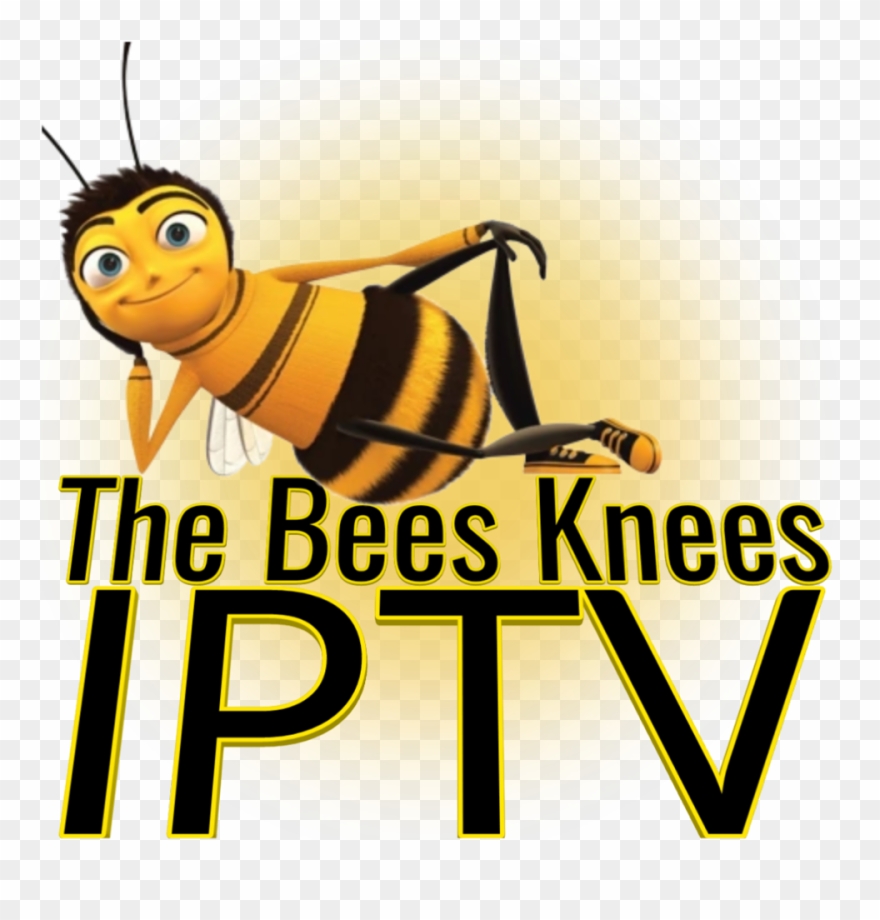 #iptv #streams #fhd #hd #m3u #deals #kodi The Best Clipart