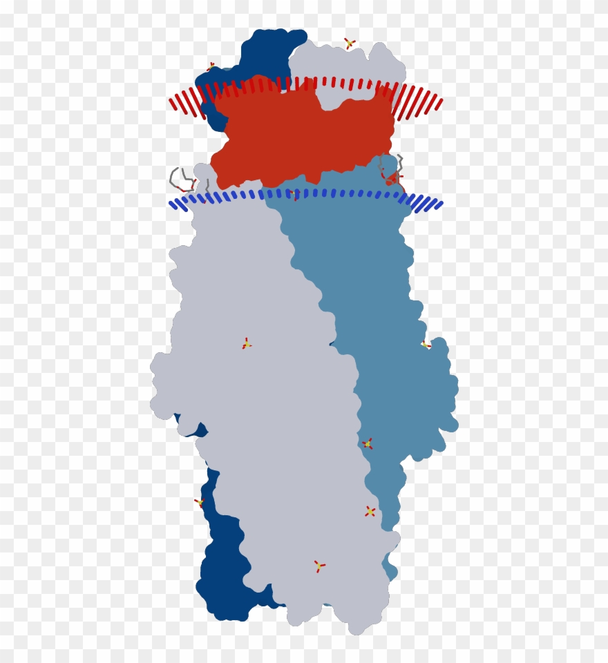 Transmembrane Flat Surface Display Opm Clipart