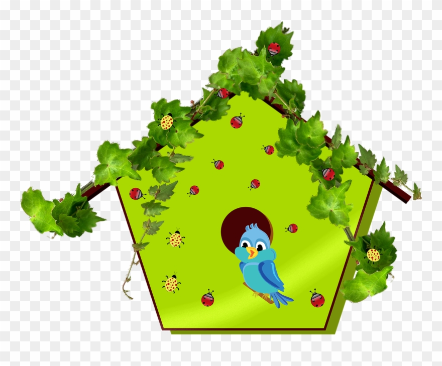 Bluebird Bird Birdhouse Clipart