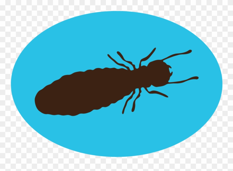 Termite Control Clipart