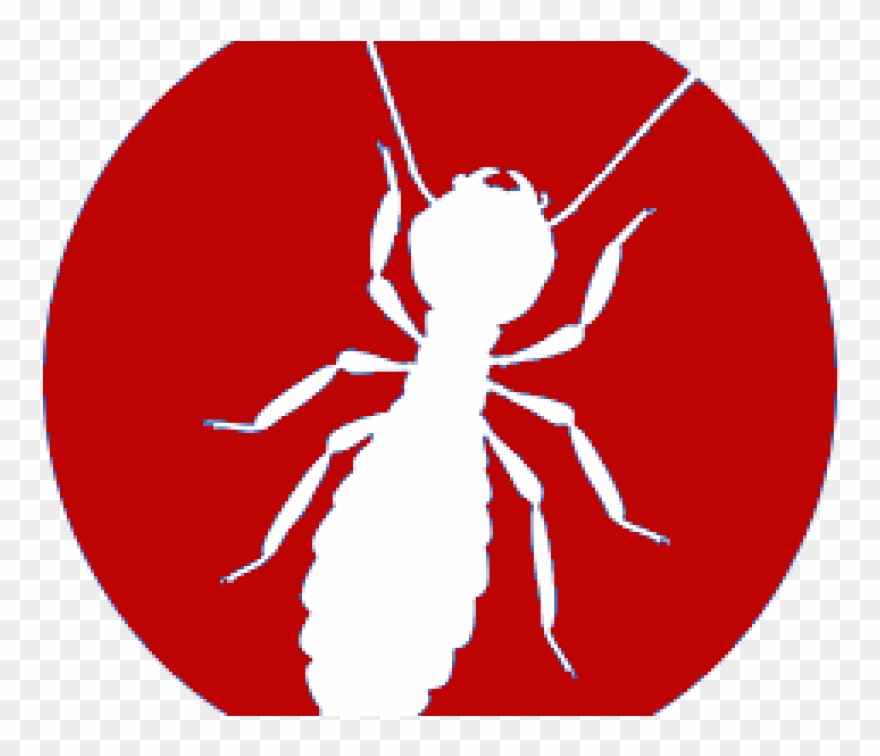 Subterranean Termite Treatment Clipart