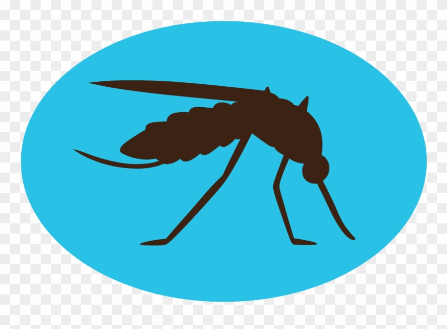 Mosquito Control Clipart