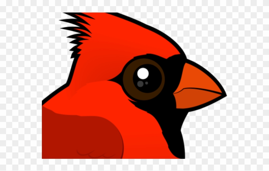Cardinal Clipart Cardinal Head - Png Download