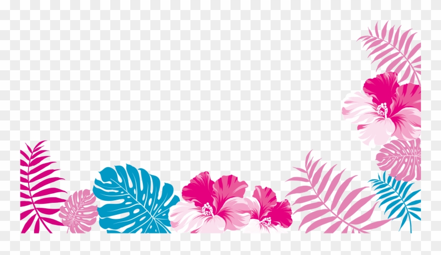 Small Bonjour Señorita Eau De Toilette £ 59 Don't Miss Clipart