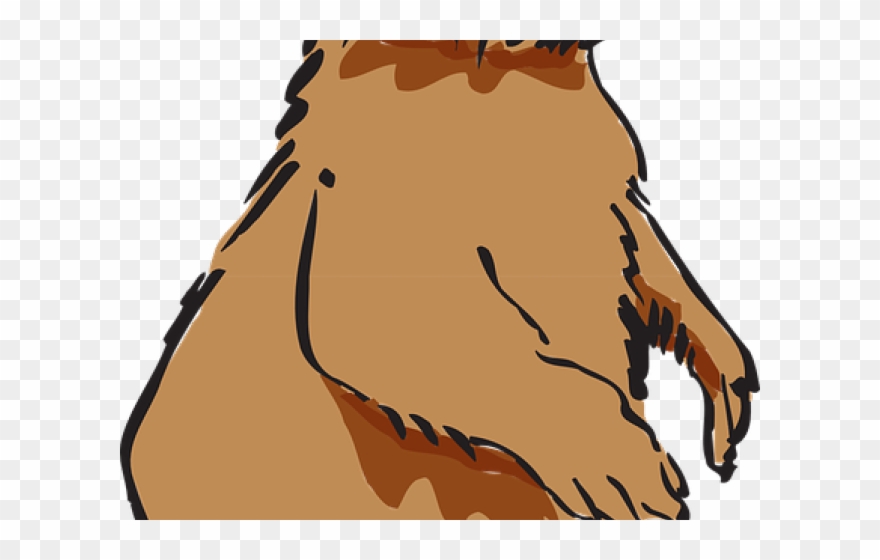 Beaver Clipart Beaver Fur - Png Download