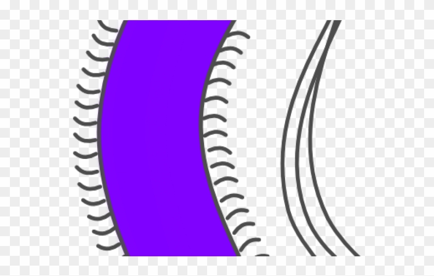 Bacteria Clipart Germ - Png Download