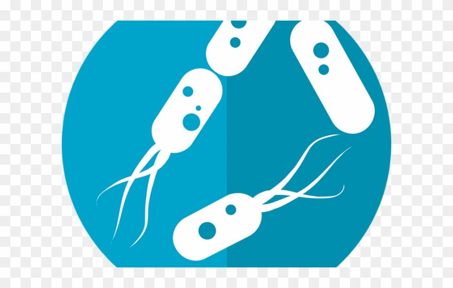 Escherichia Coli Clipart Dead Bacteria - Png Download (#2662122