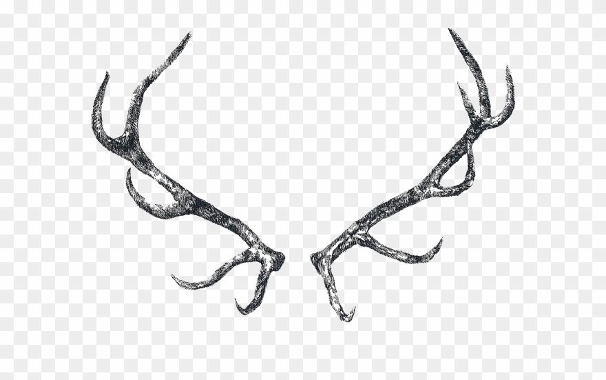 Antler Clipart Transparent Tumblr - Png Download