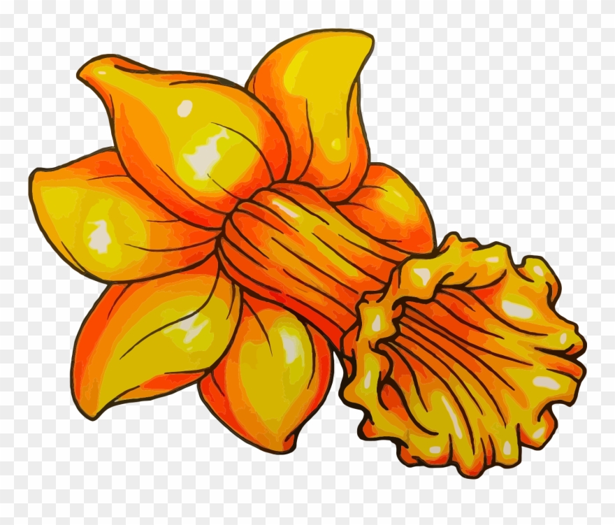 Album On Imgur Clipart