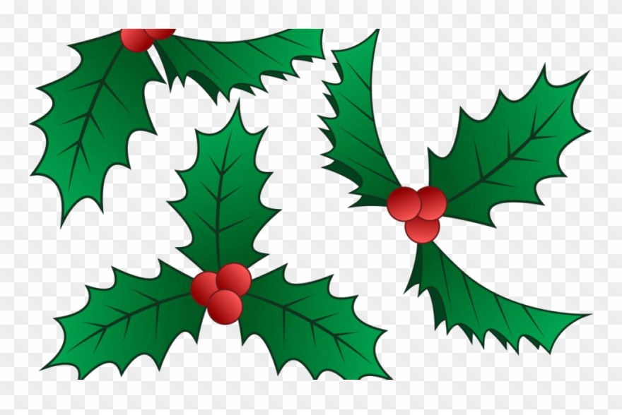 Mistletoe - Clipart