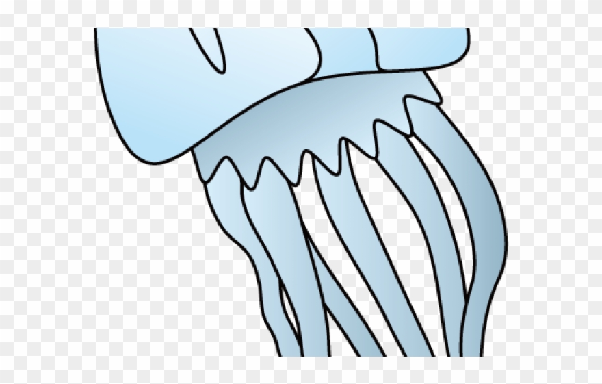 Cartoon Clipart Jellyfish - Png Download