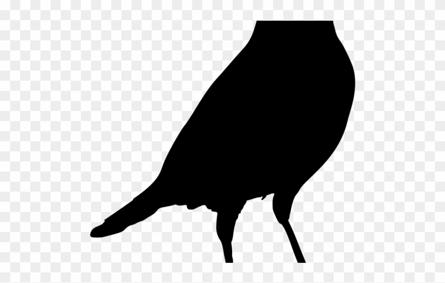 Crow Clipart Blackbird - Png Download