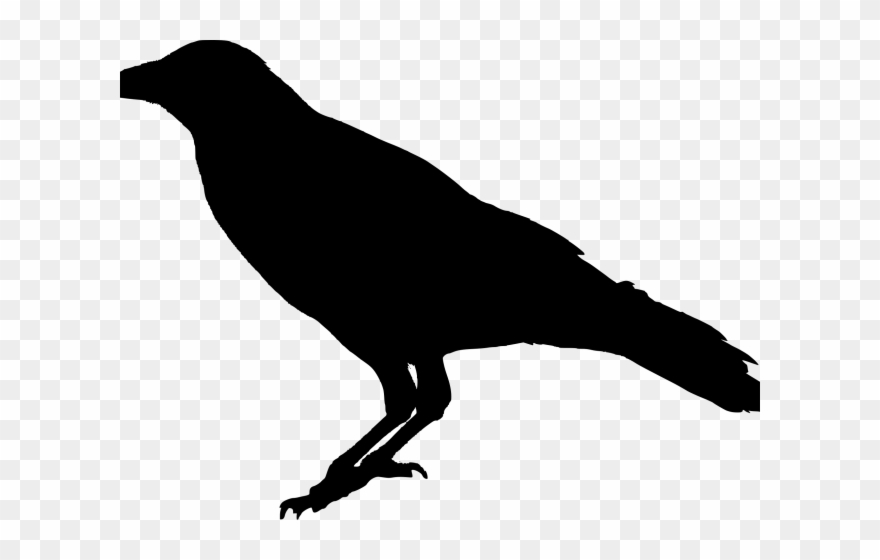 Crow Clipart Poe - Png Download