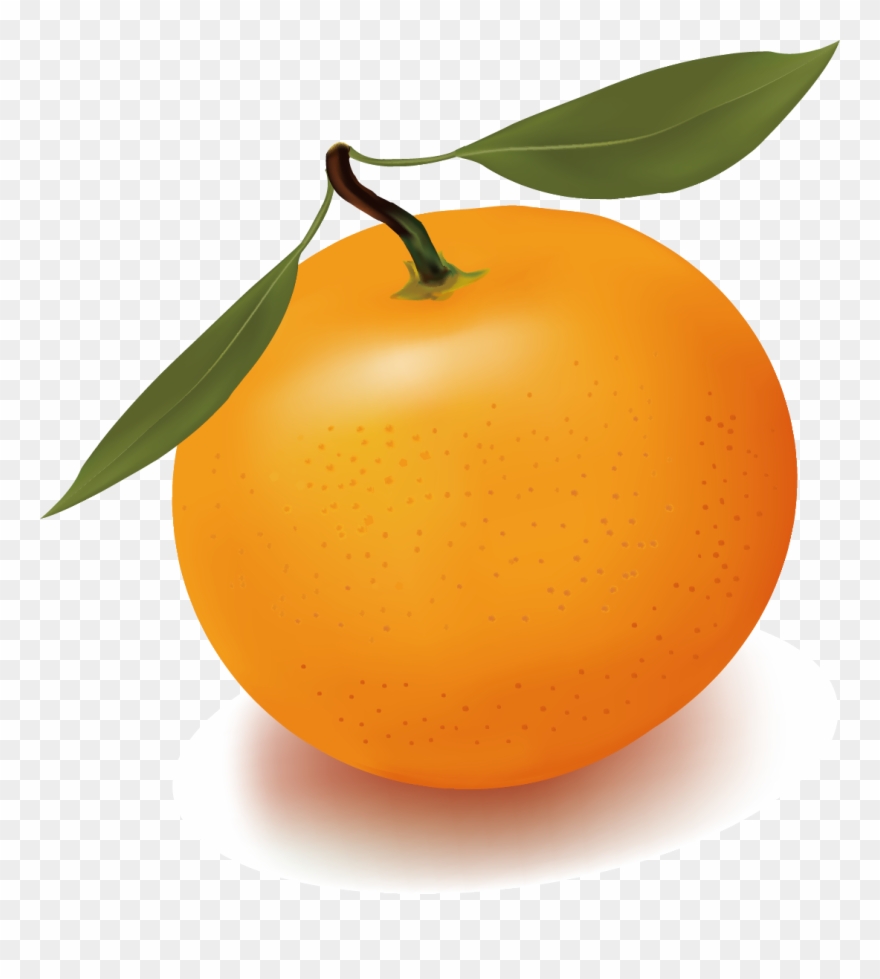 Orange Juice Free Content Clip Art - Png Download