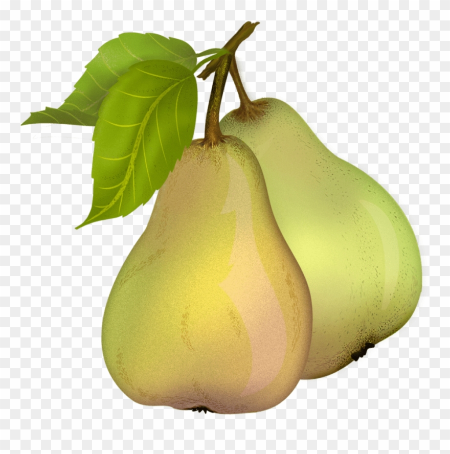 Pear Fruit Clip Art Transparent Background - Png Download