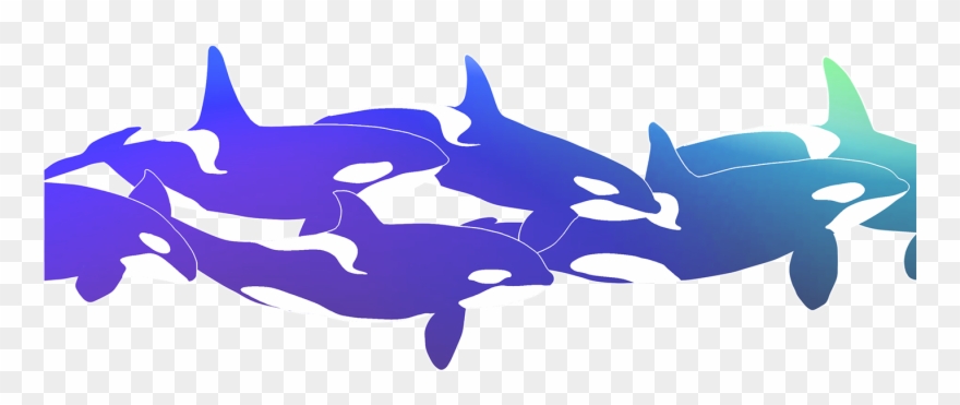 Front Flap Is A Cutout Of Some Whales Swimming In The Clipart