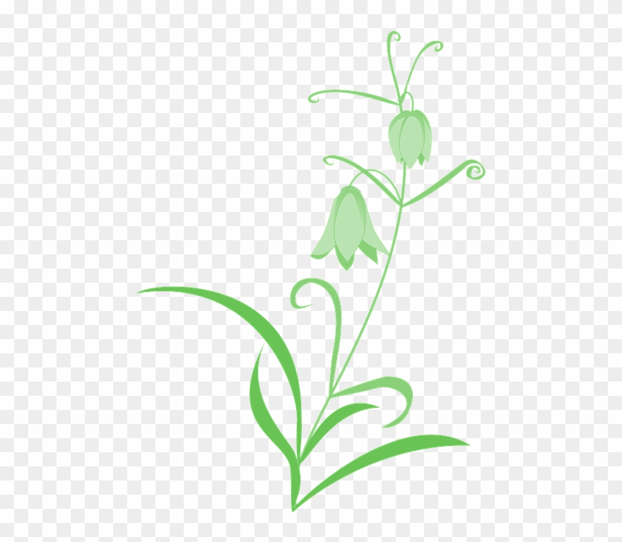 Free Photo Green Flowers Clipart