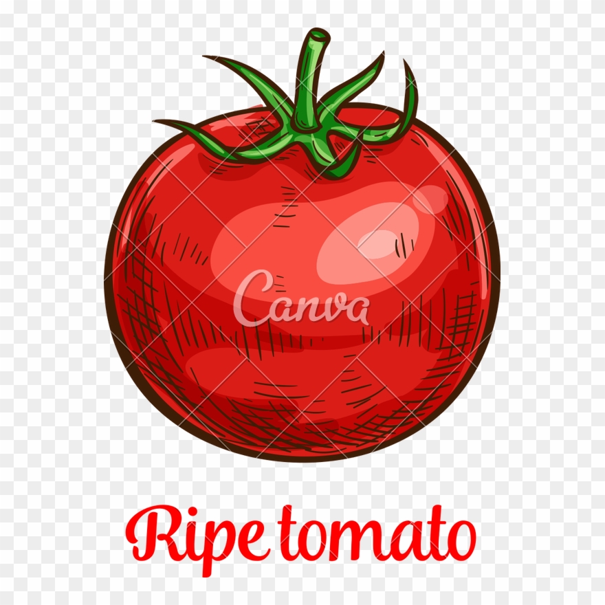 Tomato Clipart Buah - Png Download