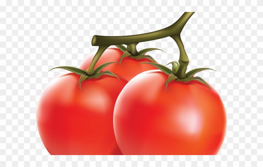 Tomato Clipart Five - Png Download