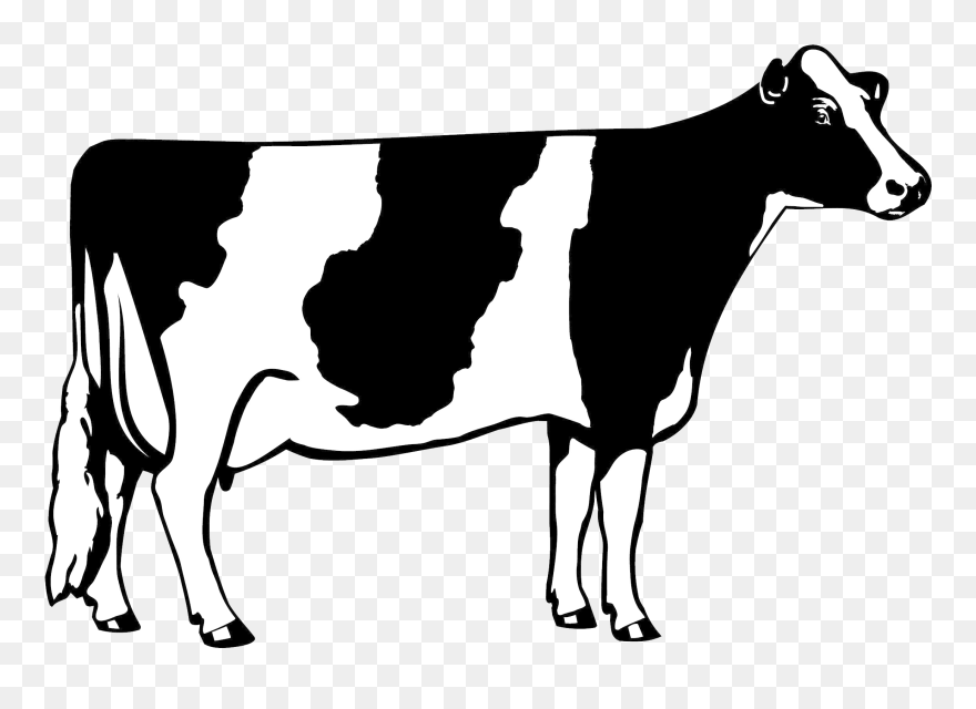 Ugli Fruit With A Cow Photoshopped On Top Of It And Clipart