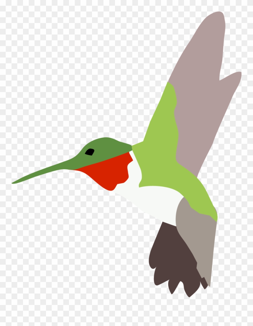 Hummingbird Clipart