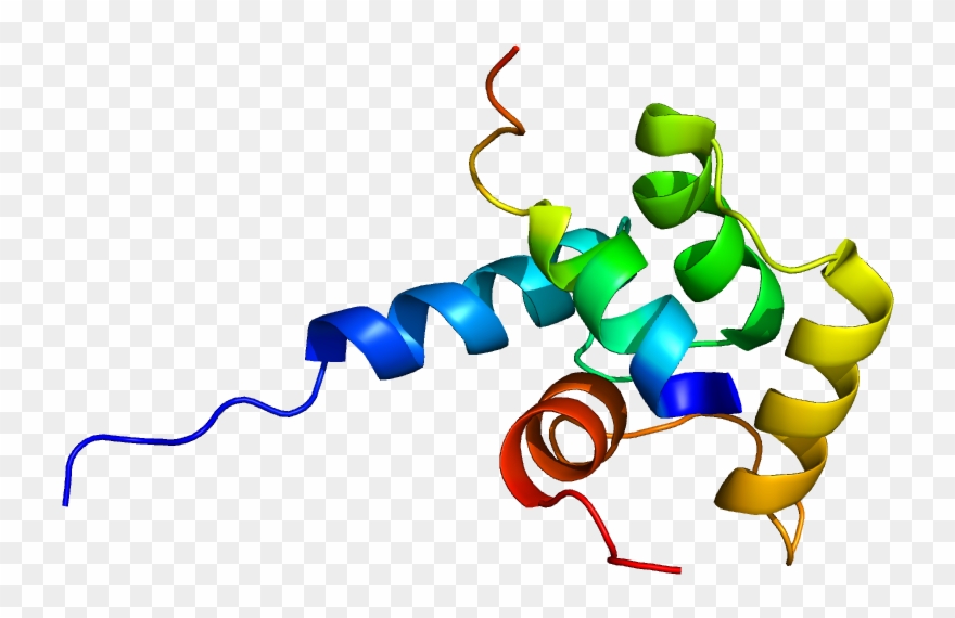 View Regulation Of Carcinogenesis Angiogenesis And Clipart