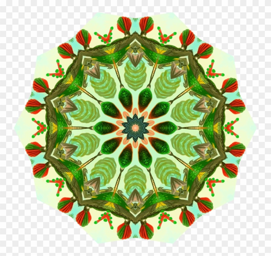 Trochilidae Hummingbird Computer Icons Drawing Pdf Clipart