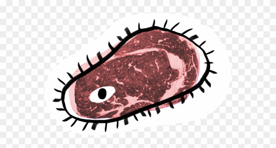 A Crude Drawing Of A Cell Is Overlaid Upon A Cut Of Clipart