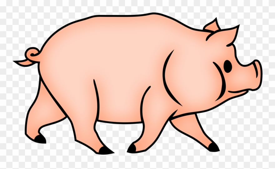 Domestic Pig Drawing Coloring Book Stuffed Bun House Clipart