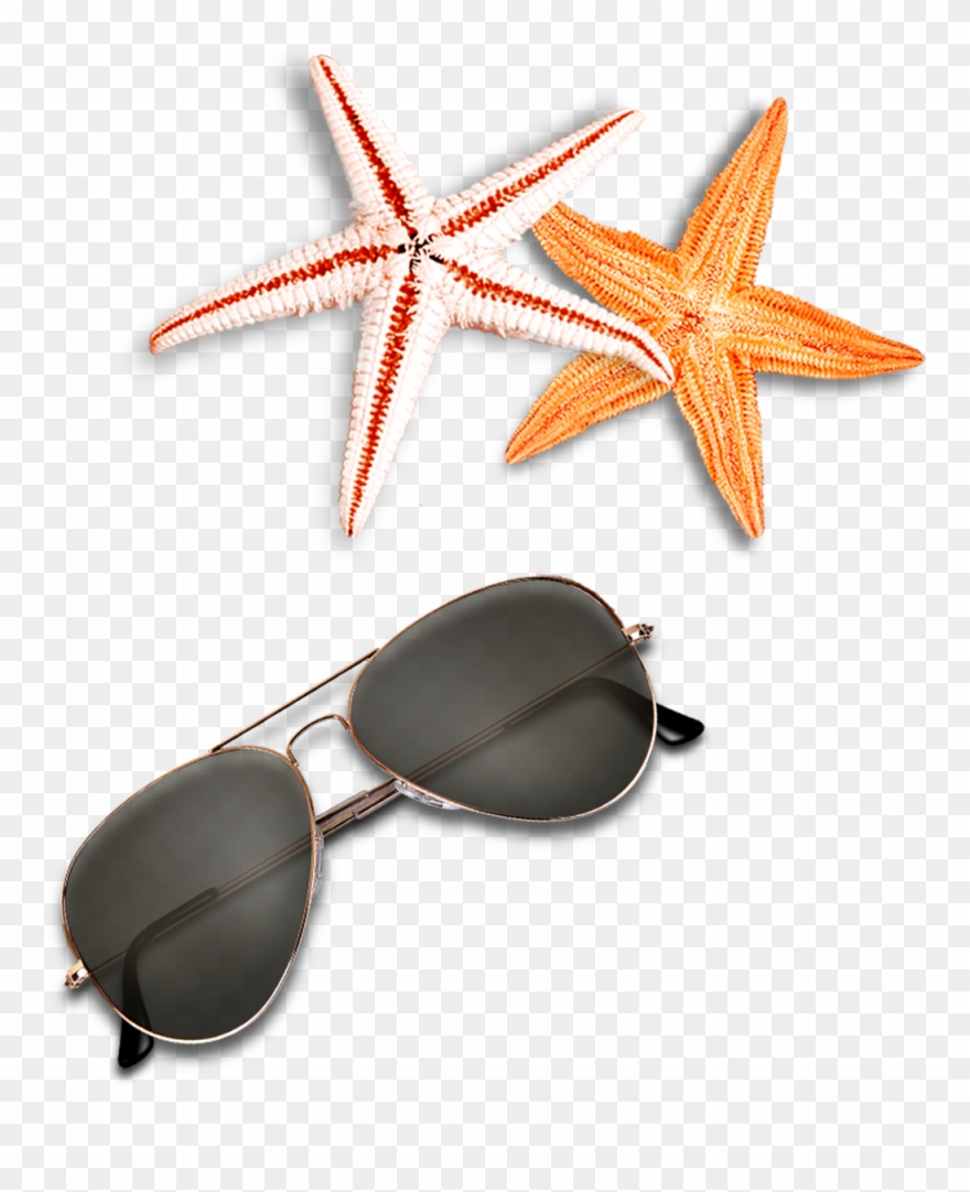 Beach Elements Sunglasses Starfish Free Clipart Hd - Png Download