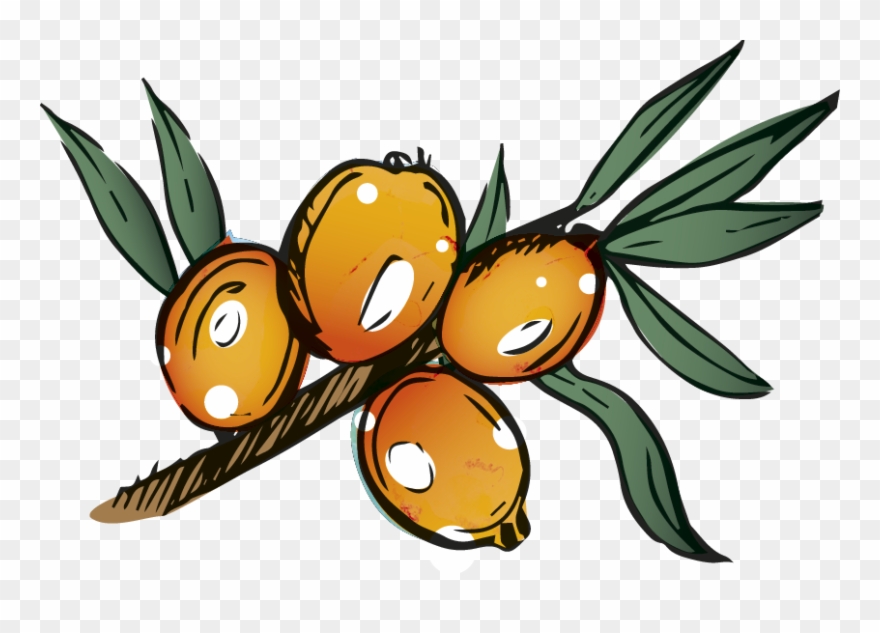 Our Products Clipart