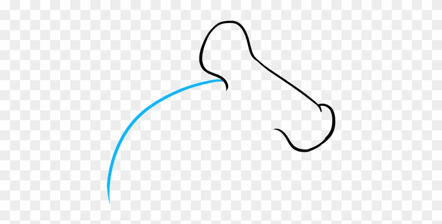 Drawing Nemo Shark Head Clipart