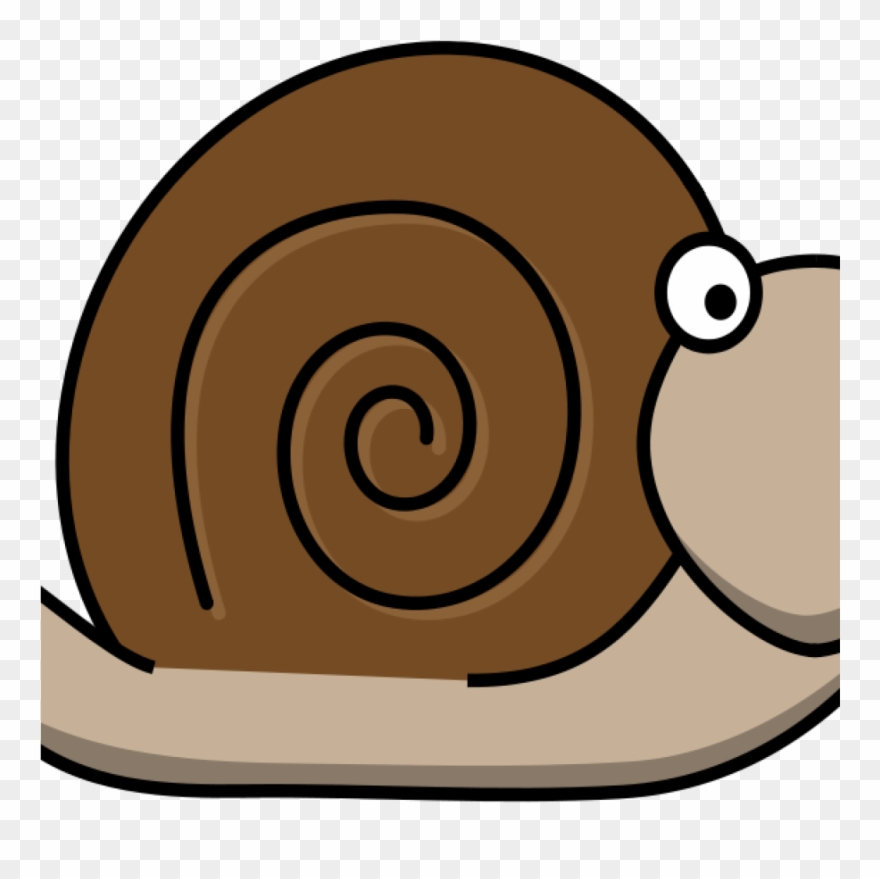 Clipart Snail Free Clipart Snail Hatso1 History Clipart - Png Download