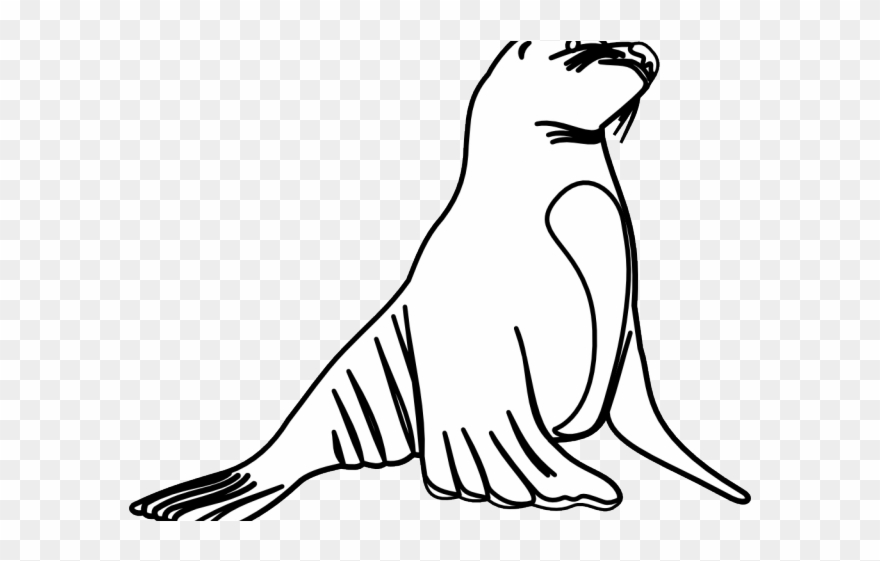 Leopard Seal Clipart Ocean Animal - Png Download