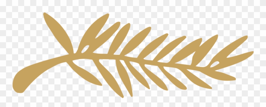 320 × 117 Pixels Clipart