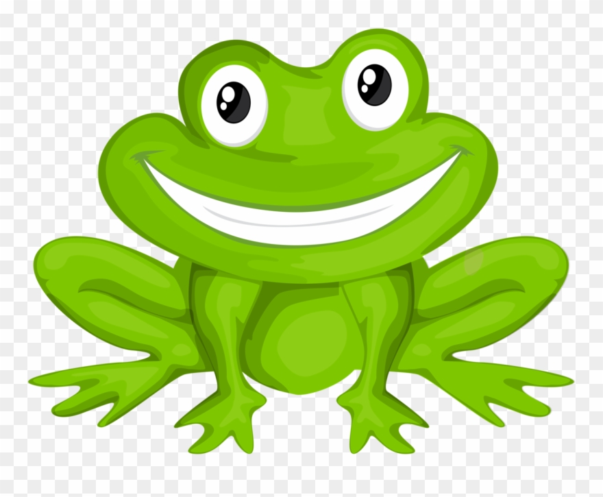 Фотки Green Frog, Snail, Art Boards, Frogs, Clip Art, - Png Download