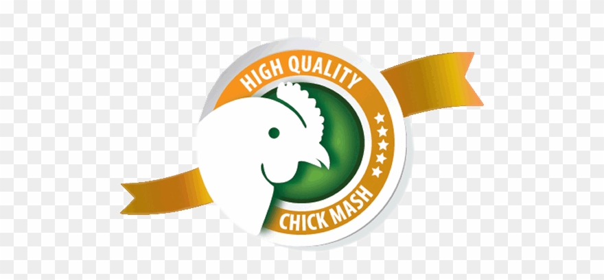 Chick Mash Clipart