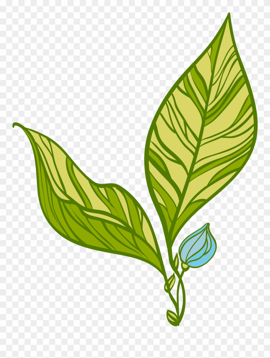 The Phc Wellness Center Is Located In The Orange House Clipart